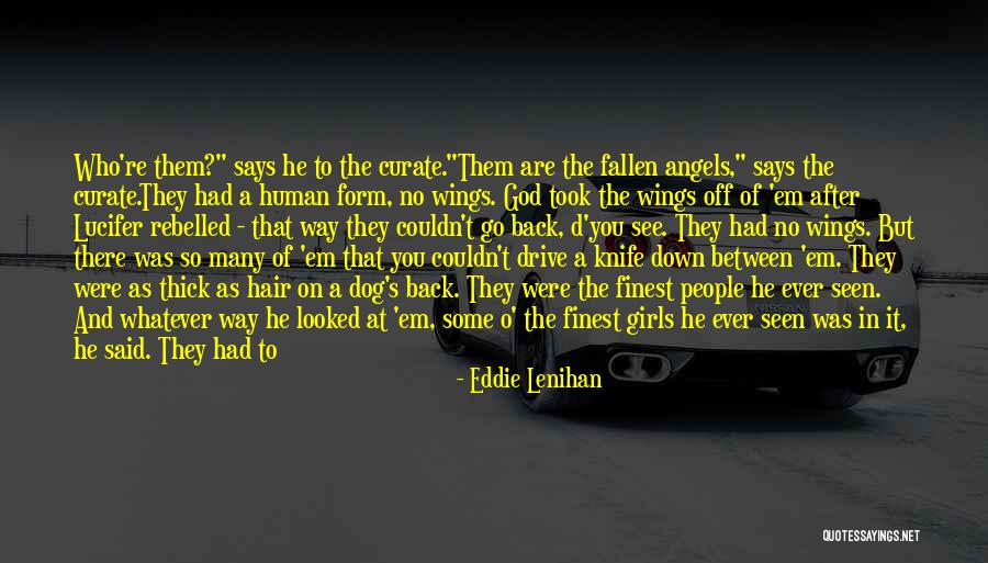 God Looking After You Quotes By Eddie Lenihan God Looking After You Quotes By Eddie Lenihan