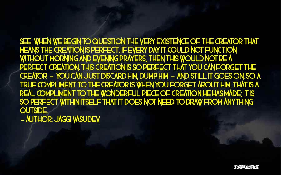 God Made Me Perfect Quotes By Jaggi Vasudev