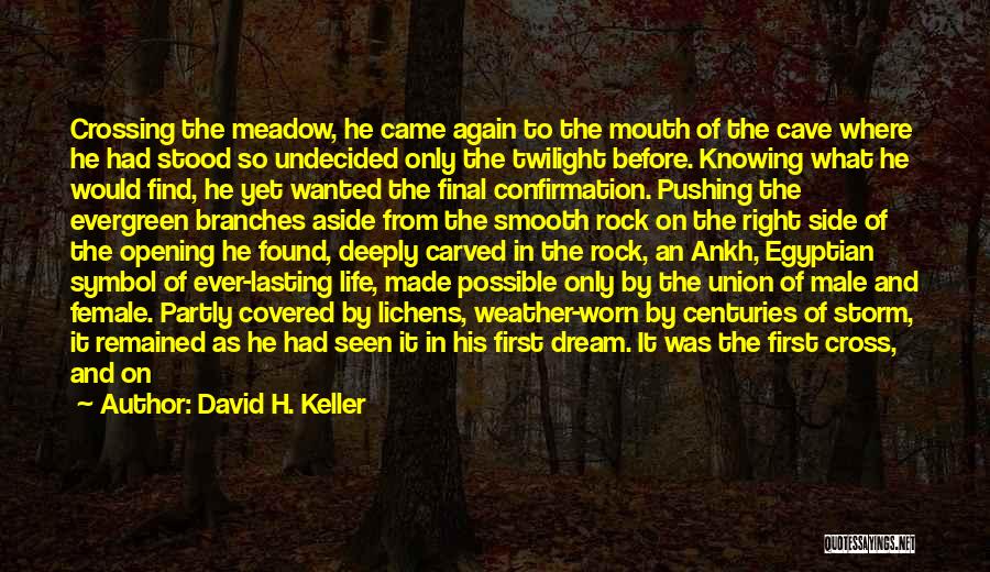 God Made Woman Quotes By David H. Keller