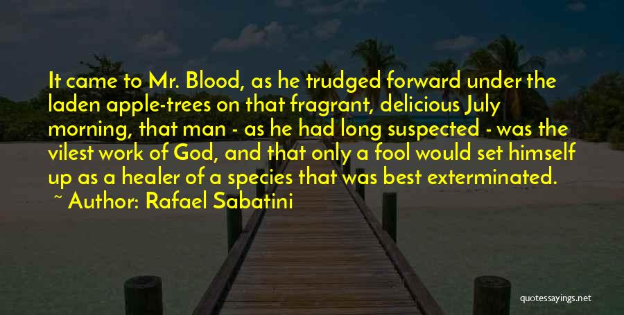 God My Healer Quotes By Rafael Sabatini