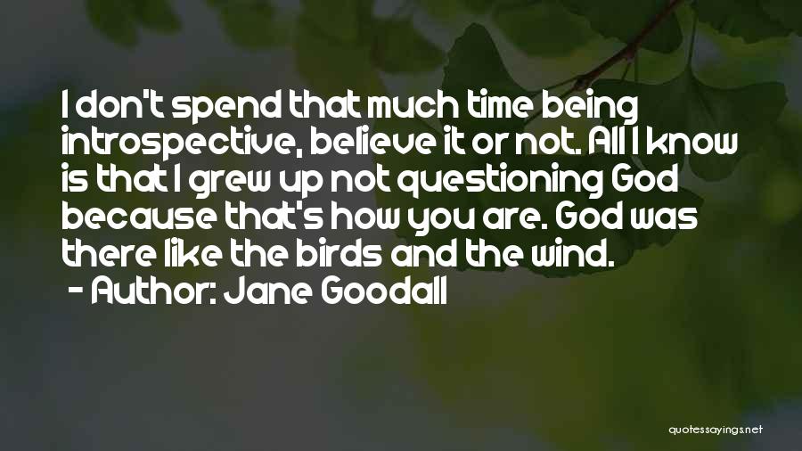 God Not Being There Quotes By Jane Goodall