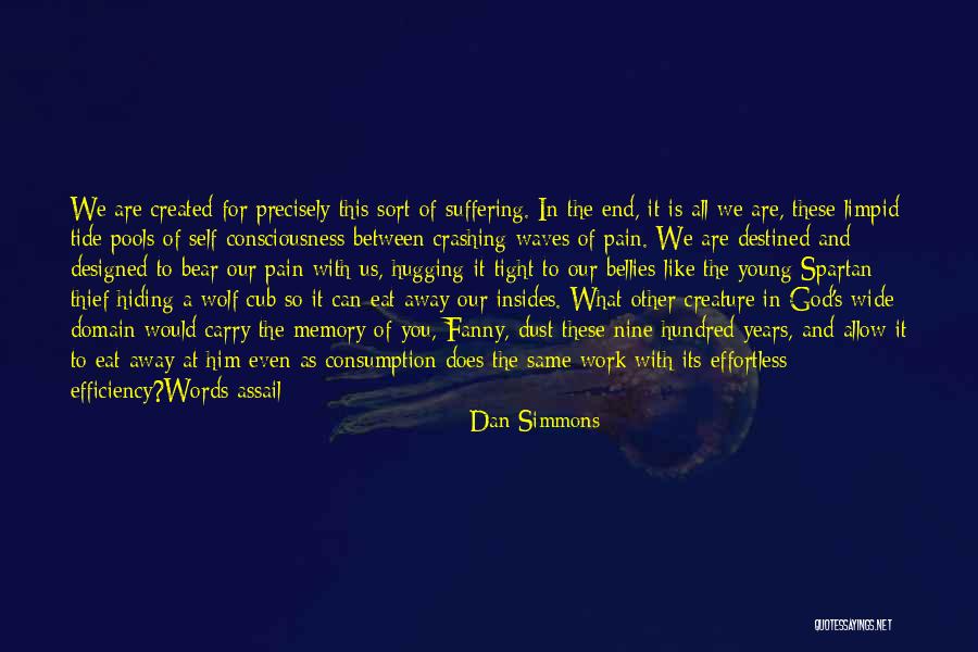 God Pain And Suffering Quotes By Dan Simmons