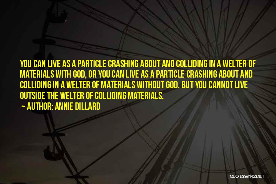 God Particle Quotes By Annie Dillard