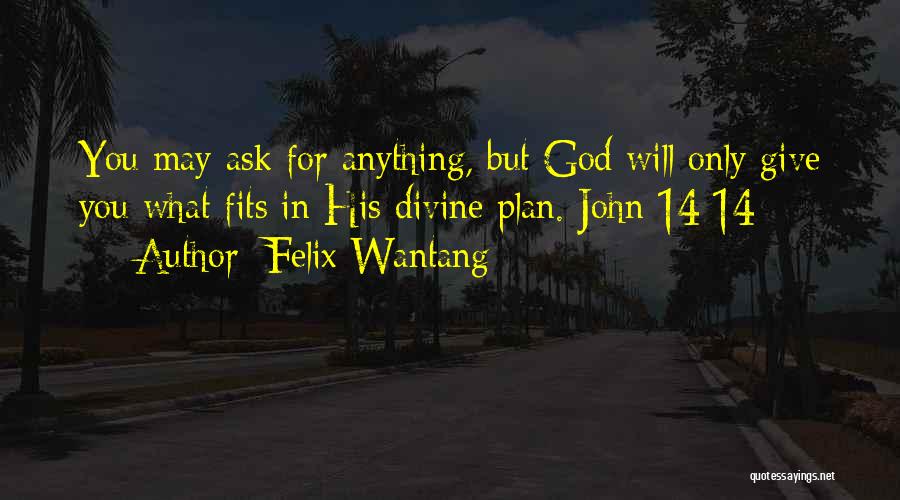 God Plan For You Quotes By Felix Wantang