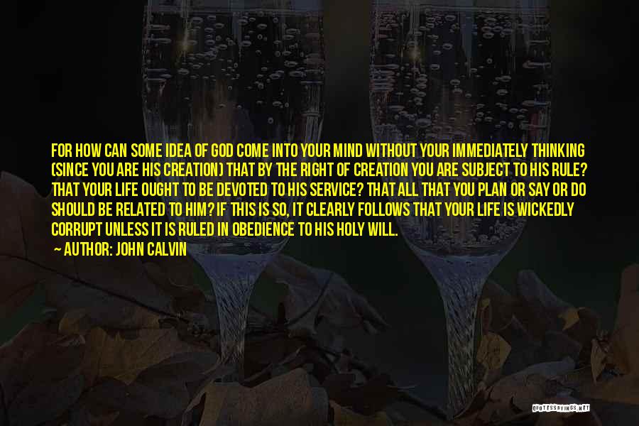 God Plan For You Quotes By John Calvin