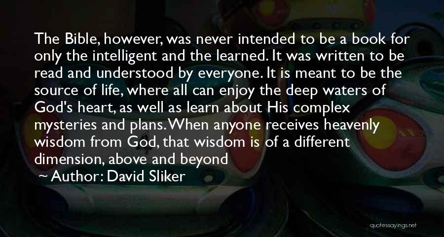 God Plans Bible Quotes By David Sliker