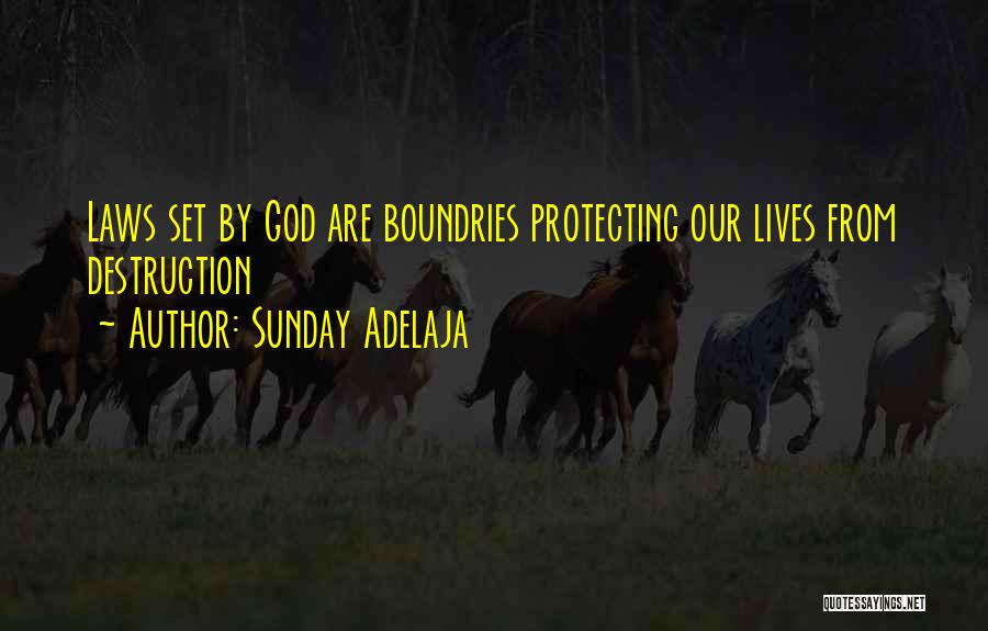 God Protecting Us Quotes By Sunday Adelaja