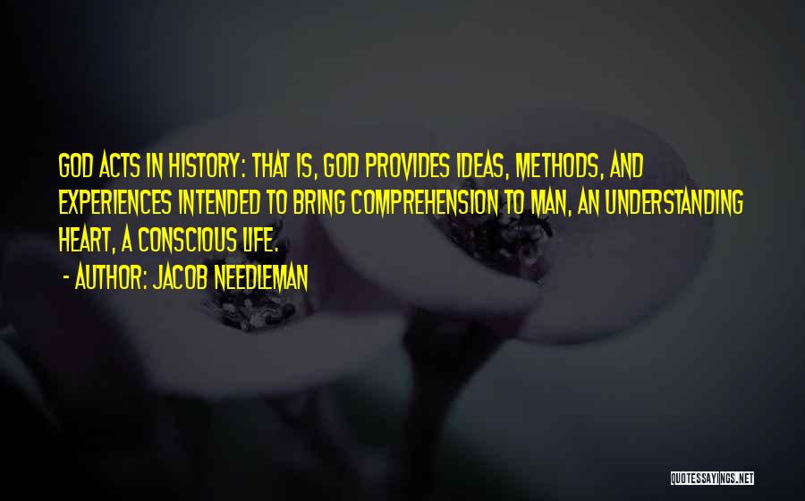 God Provides Quotes By Jacob Needleman