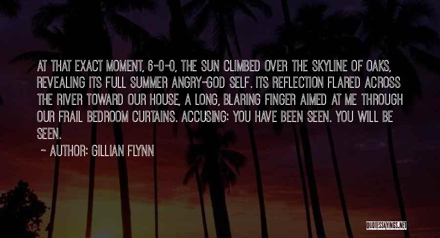 God Revealing Himself Quotes By Gillian Flynn