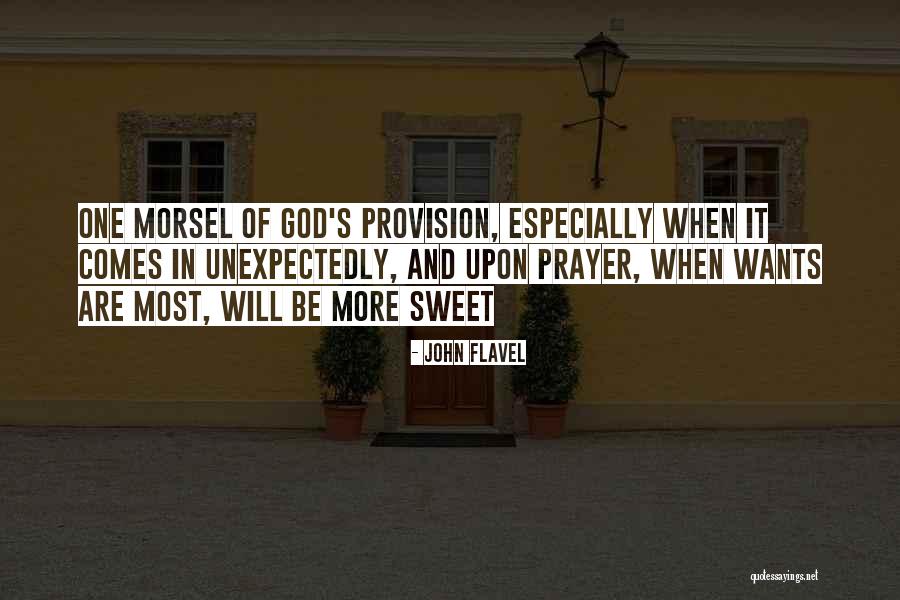God S Provision Quotes By John Flavel God S Provision Quotes By John Flavel