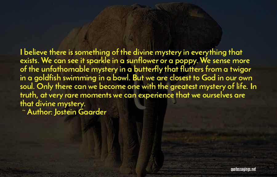 God See Everything Quotes By Jostein Gaarder