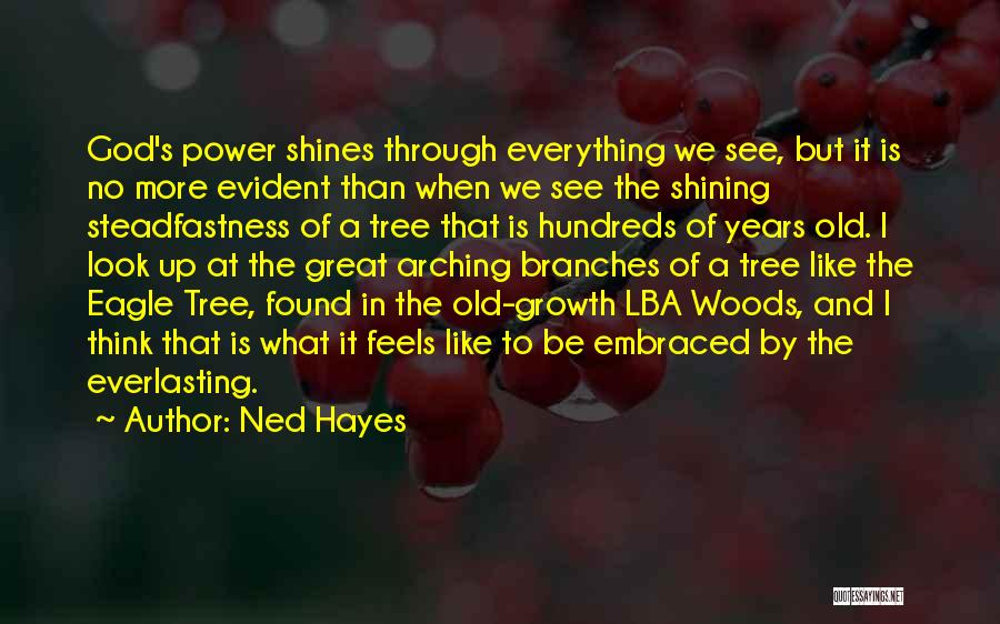 God See Everything Quotes By Ned Hayes