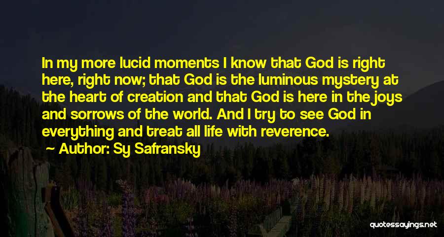 God See Everything Quotes By Sy Safransky