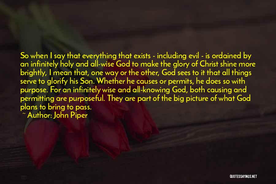 God Sees The Big Picture Quotes By John Piper