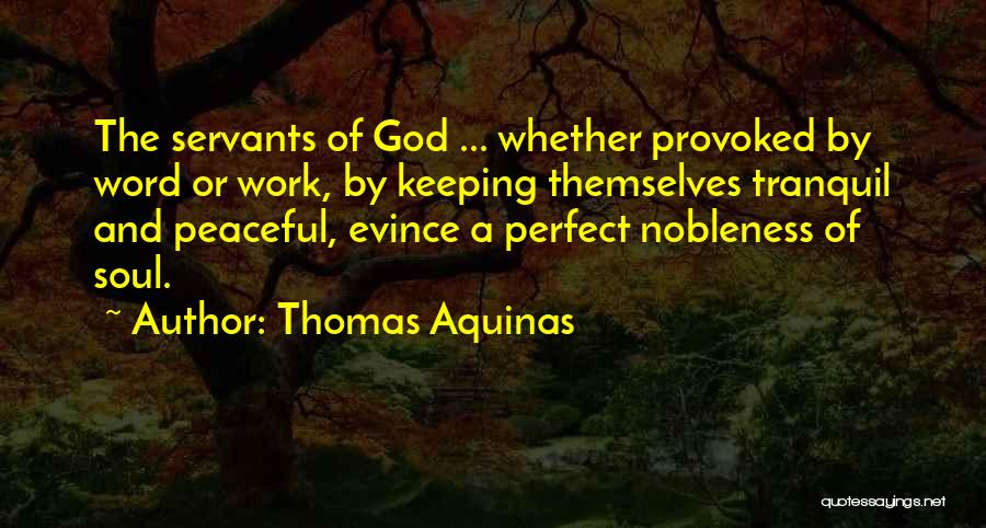 God Servant Quotes By Thomas Aquinas