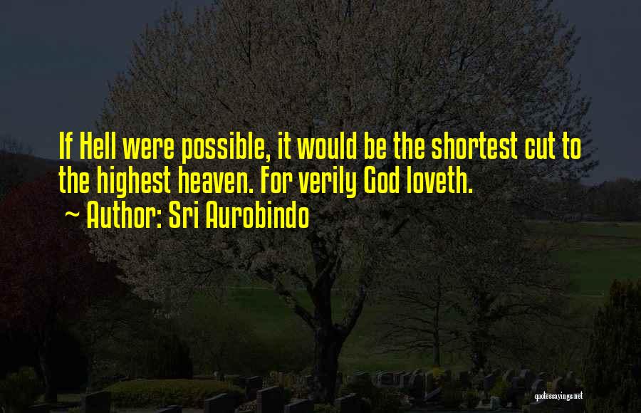 God Shortest Quotes By Sri Aurobindo