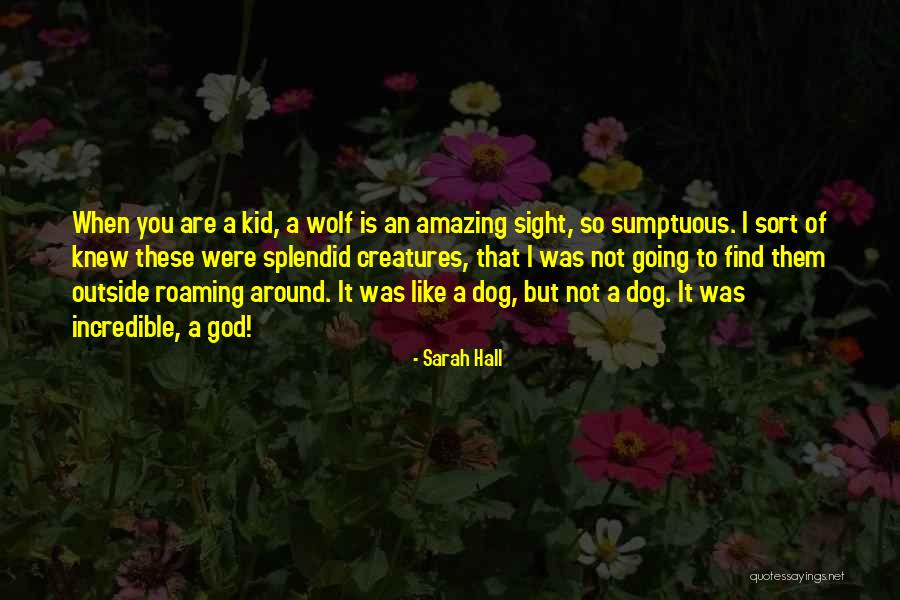 God So Amazing Quotes By Sarah Hall