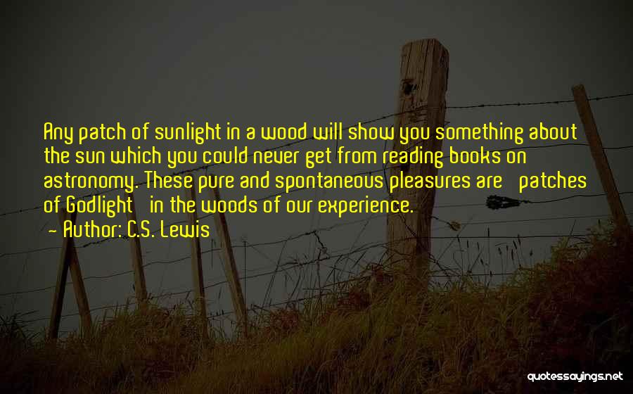 God Sunlight Quotes By C.S. Lewis
