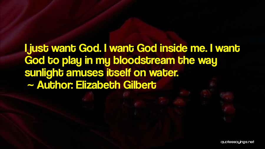 God Sunlight Quotes By Elizabeth Gilbert