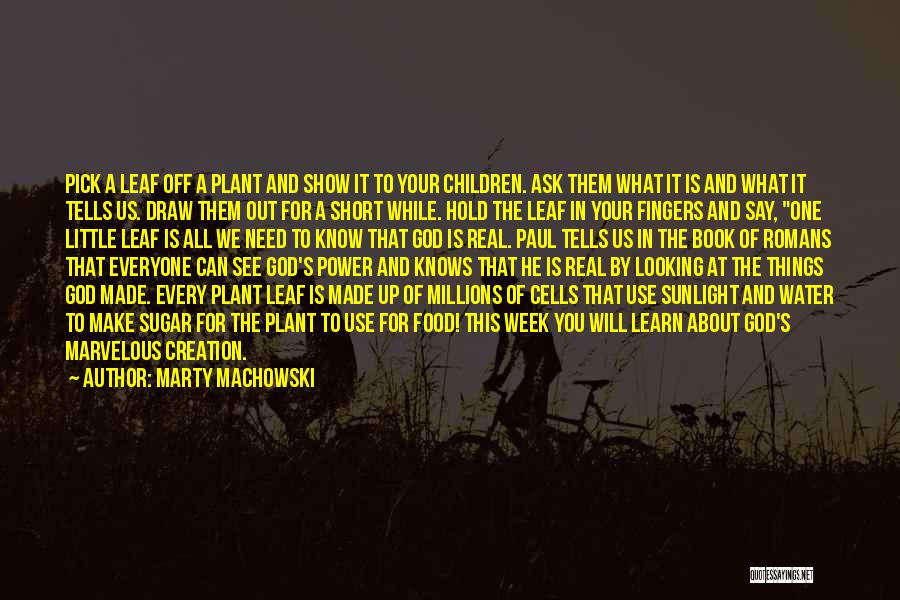 God Sunlight Quotes By Marty Machowski