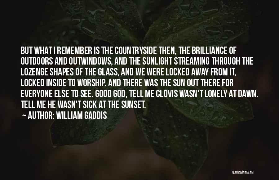 God Sunlight Quotes By William Gaddis