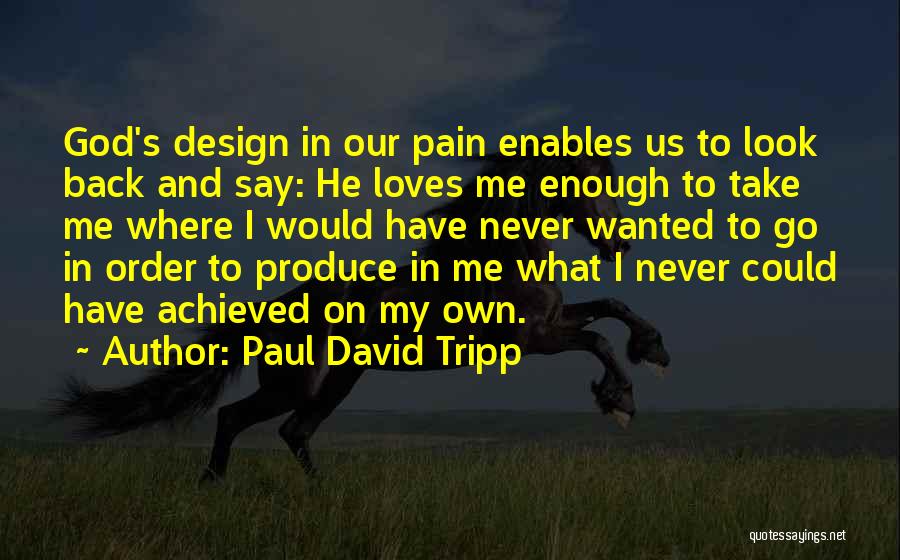 God Take Me Back Quotes By Paul David Tripp