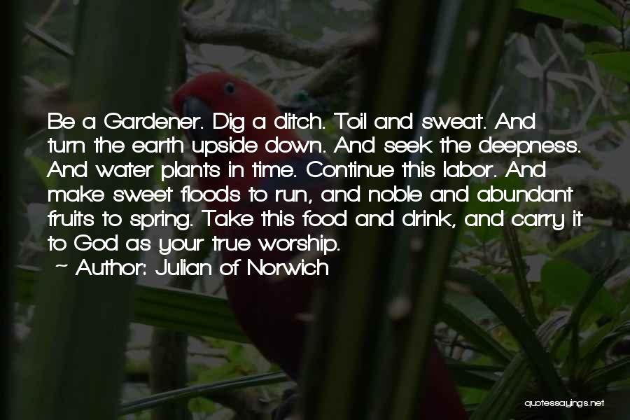 God The Gardener Quotes By Julian Of Norwich