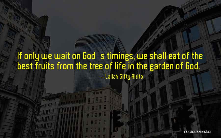 God Timing Quotes By Lailah Gifty Akita God Timing Quotes By Lailah Gifty Akita