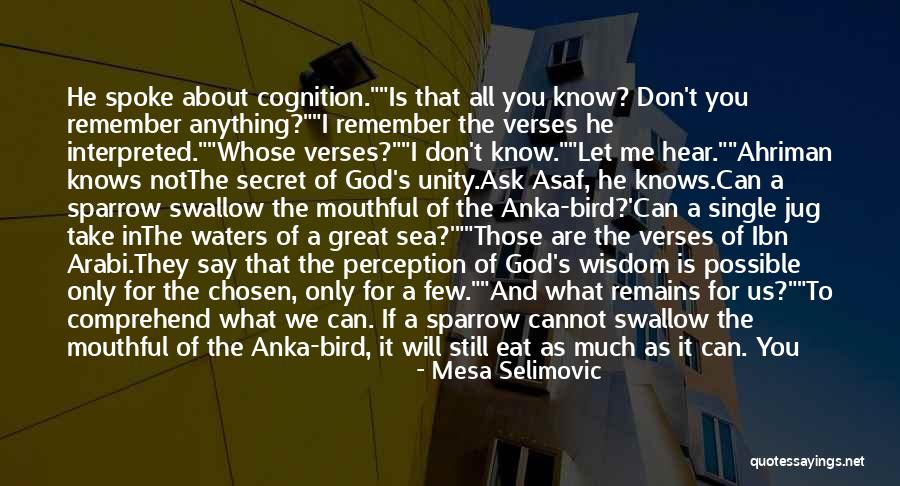 God Verses Quotes By Mesa Selimovic