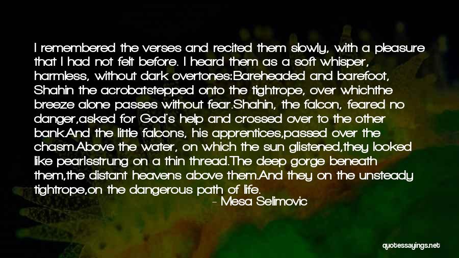 God Verses Quotes By Mesa Selimovic