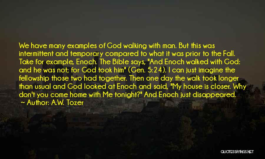 God Walking Quotes By A.W. Tozer