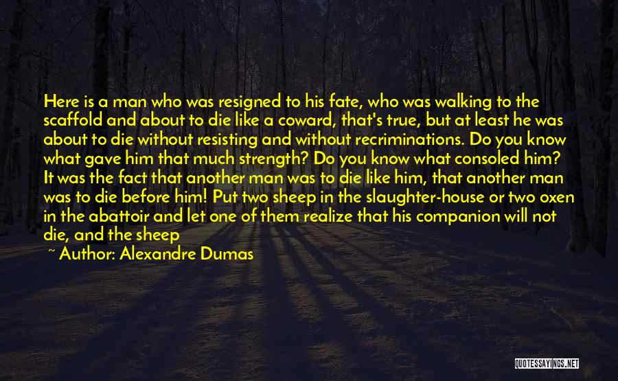 God Walking With You Quotes By Alexandre Dumas
