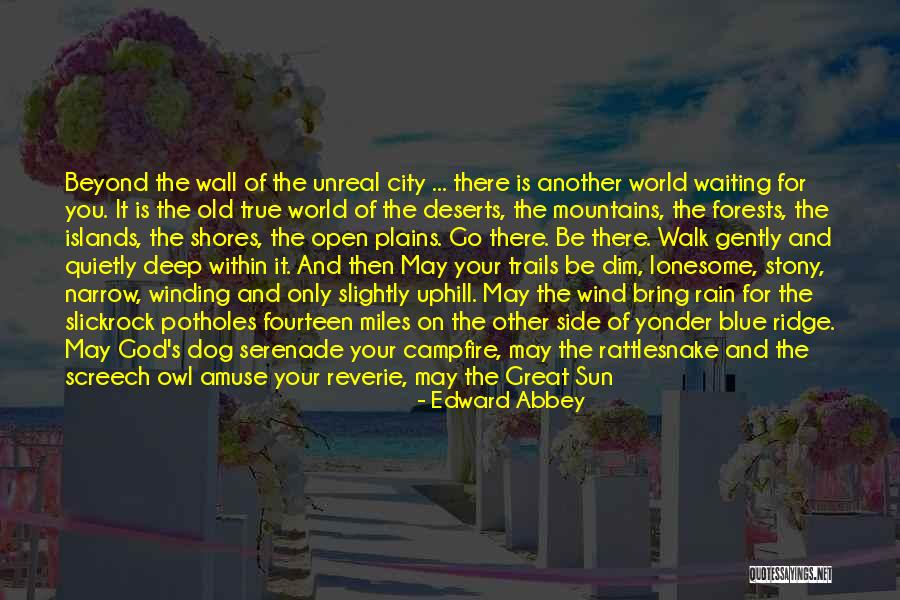 God Watch Over You Quotes By Edward Abbey God Watch Over You Quotes By Edward Abbey