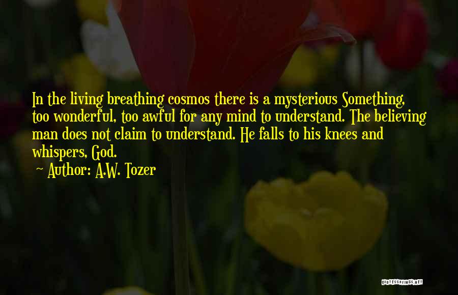 God Whispers Quotes By A.W. Tozer