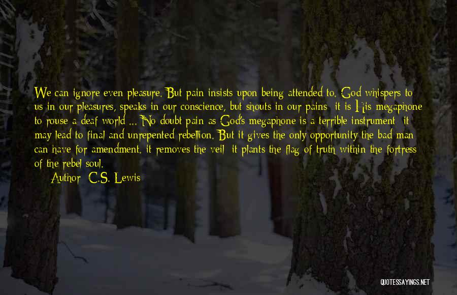 God Whispers Quotes By C.S. Lewis