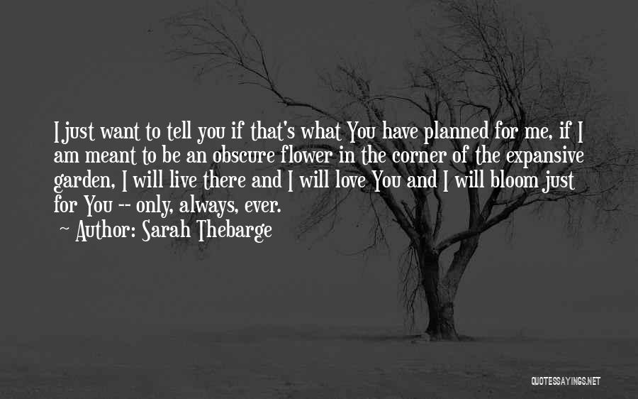 God Will Always Love You Quotes By Sarah Thebarge