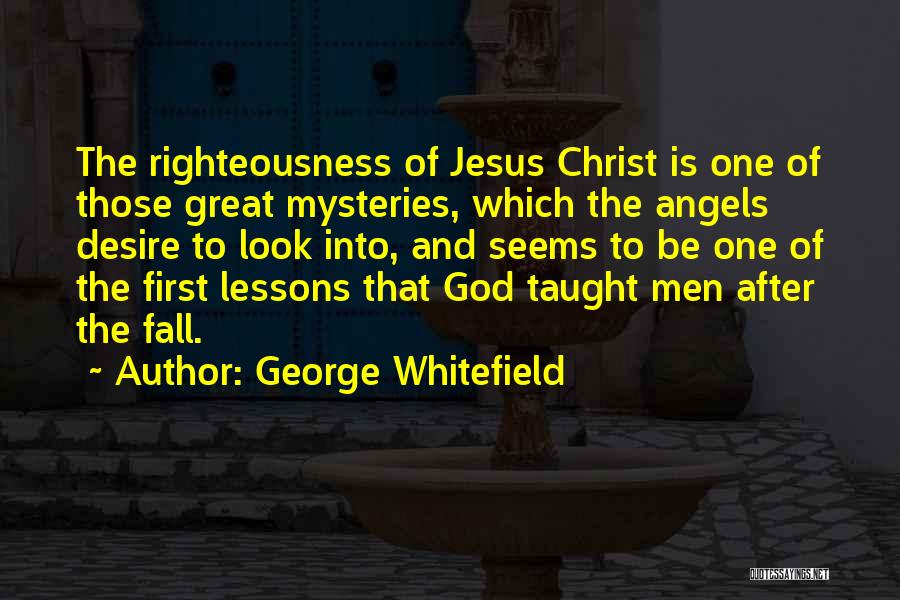 God Will Look After You Quotes By George Whitefield