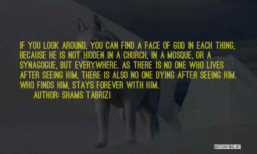 God Will Look After You Quotes By Shams Tabrizi