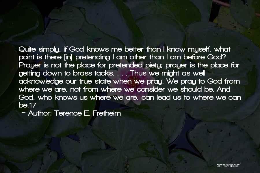 God Will Not Let Me Down Quotes By Terence E. Fretheim