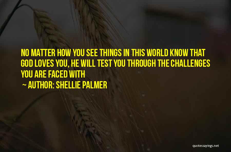 God Will See You Through Quotes By Shellie Palmer