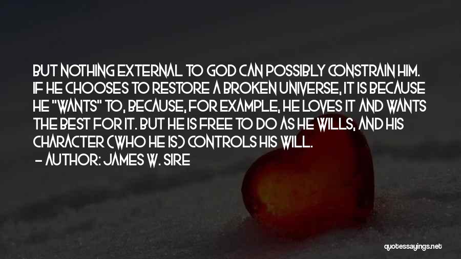 God Wills Quotes By James W. Sire