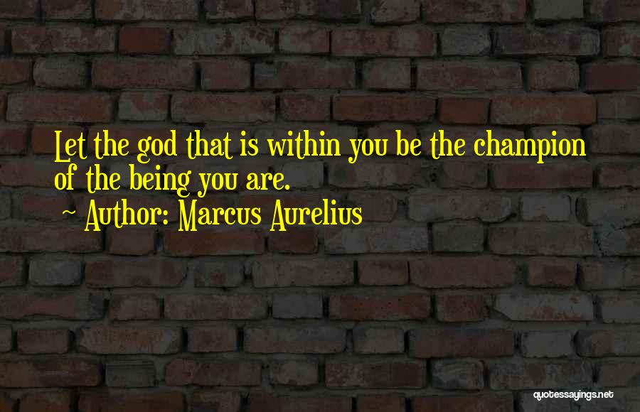 God Within You Quotes By Marcus Aurelius