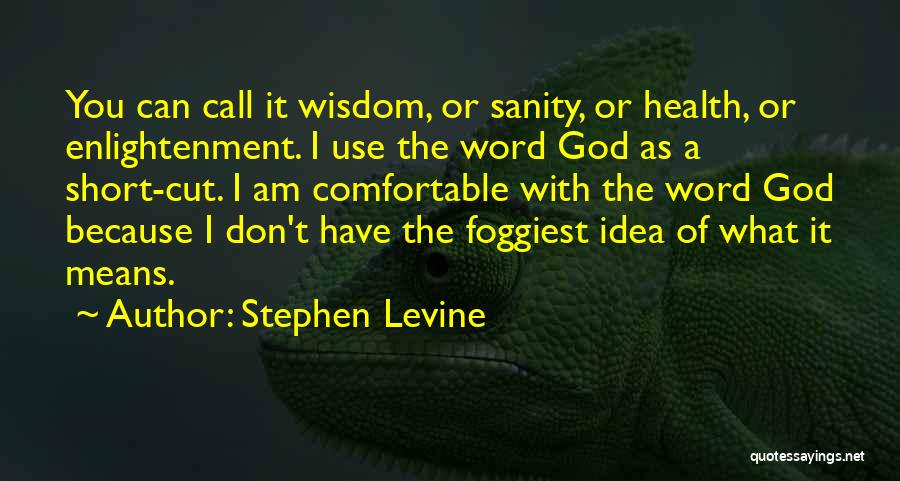 God Word Of Wisdom Quotes By Stephen Levine