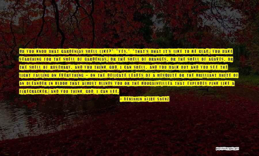 God You Know Everything Quotes By Benjamin Alire Saenz God You Know Everything Quotes By Benjamin Alire Saenz