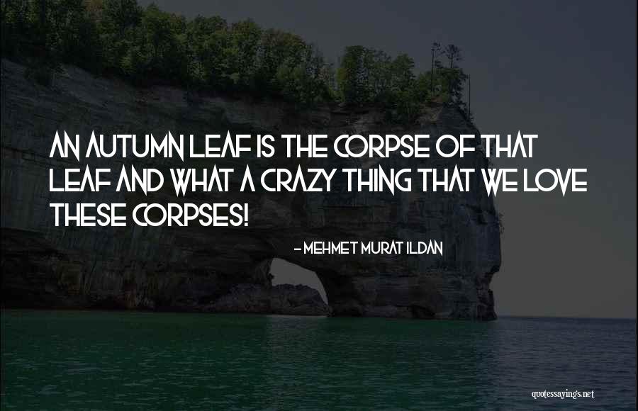 Godard Paintings Quotes By Mehmet Murat Ildan Godard Paintings Quotes By Mehmet Murat Ildan