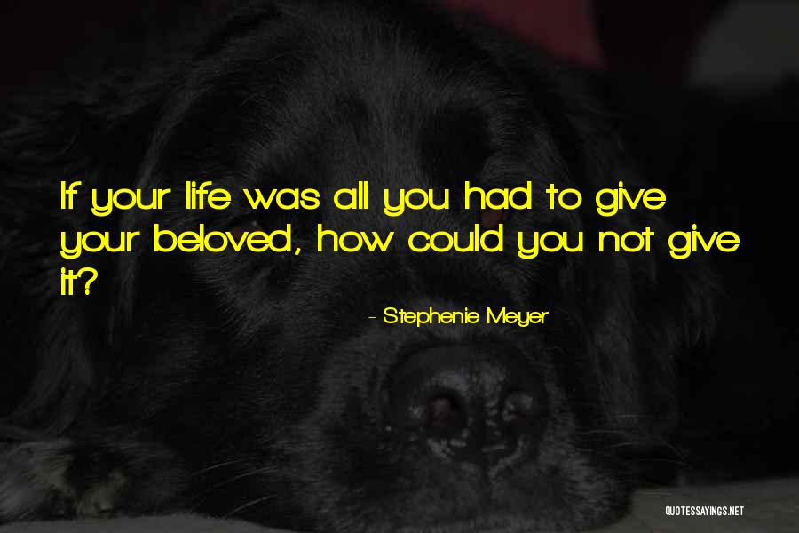 Godare Family Quotes By Stephenie Meyer
