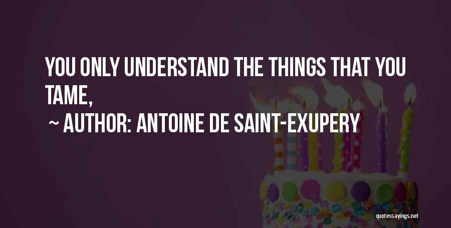 Godbold Park Quotes By Antoine De Saint-Exupery