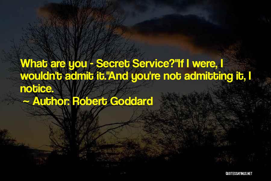 Goddard Quotes By Robert Goddard