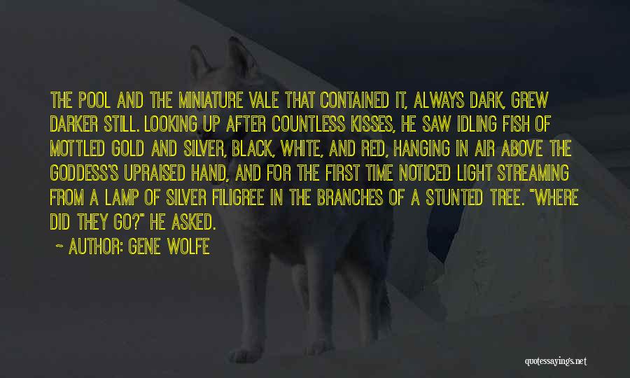 Goddess Of Light Quotes By Gene Wolfe