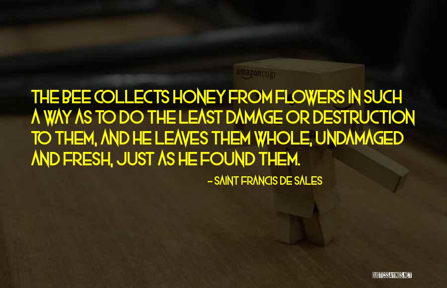 Godefroot Fietswinkel Quotes By Saint Francis De Sales Godefroot Fietswinkel Quotes By Saint Francis De Sales